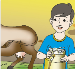 Moo Moo Brown Cow, Have You Any Milk?